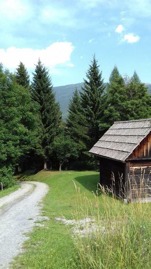 Almwiese Apartment Stadl an der Mur Екстер'єр фото