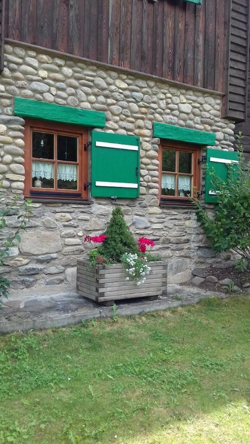 Almwiese Apartment Stadl an der Mur Екстер'єр фото